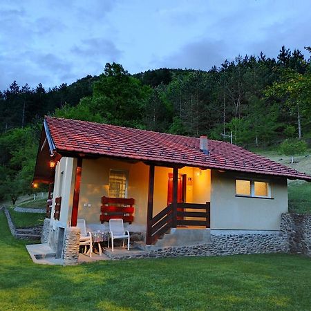 Villa Vikend Kuca Maksimovic Mataruska Banja Exterior foto