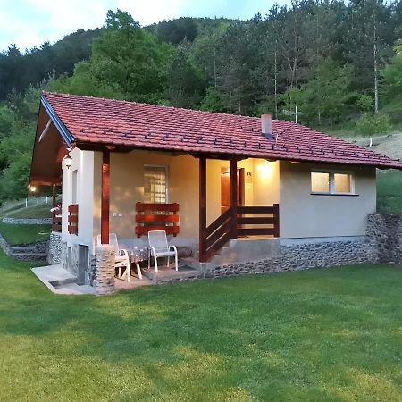 Villa Vikend Kuca Maksimovic Mataruska Banja Exterior foto