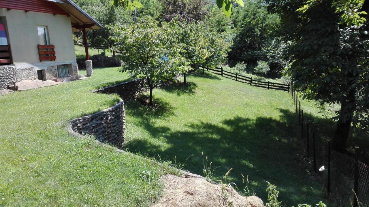 Villa Vikend Kuca Maksimovic Mataruska Banja Exterior foto
