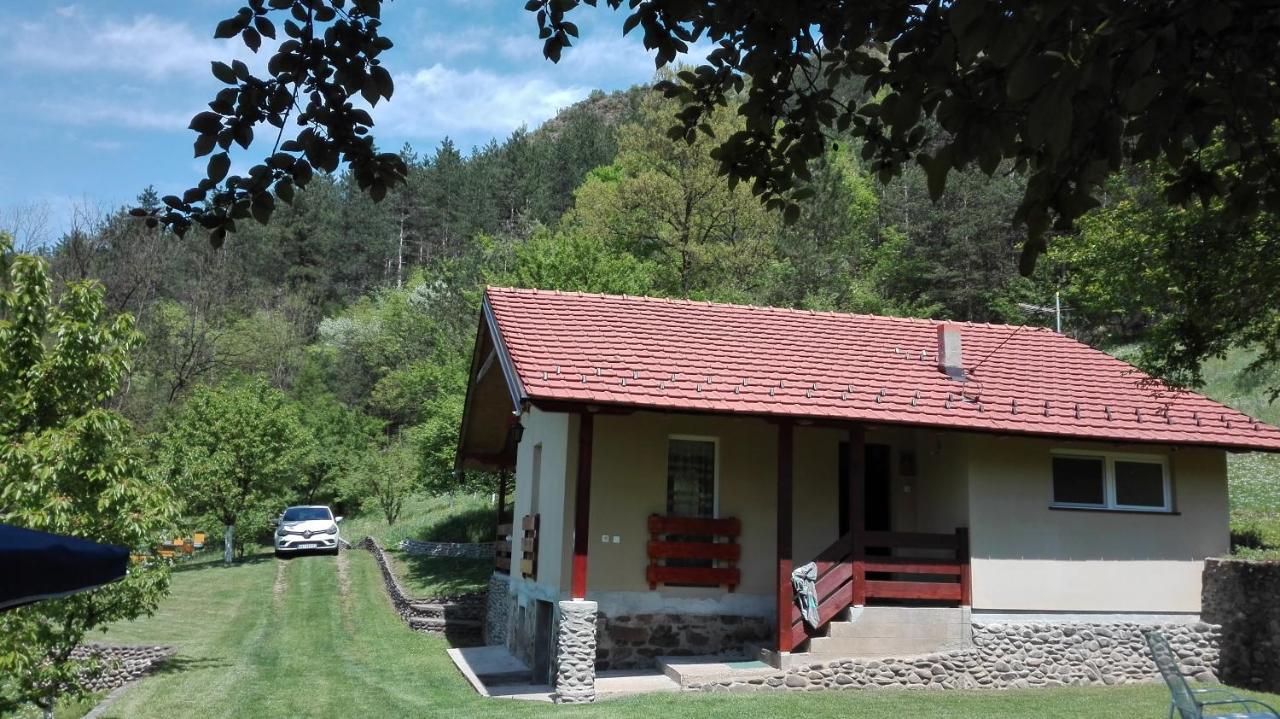 Villa Vikend Kuca Maksimovic Mataruska Banja Exterior foto