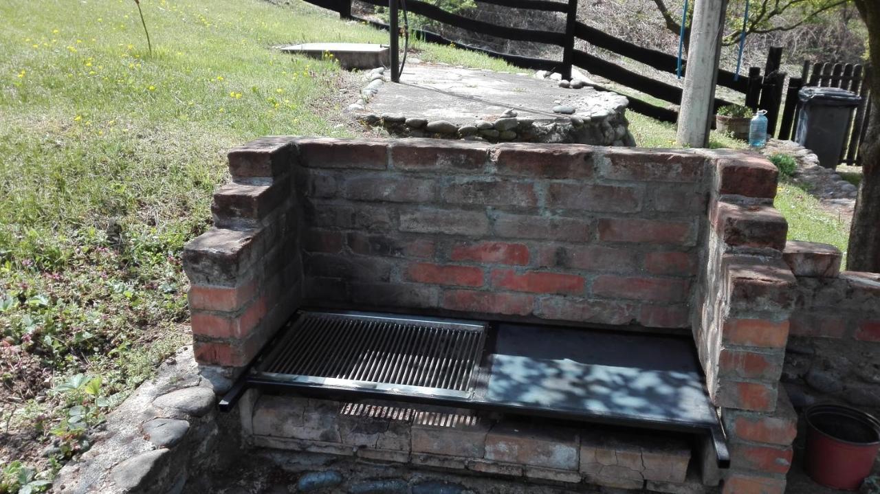 Villa Vikend Kuca Maksimovic Mataruska Banja Exterior foto