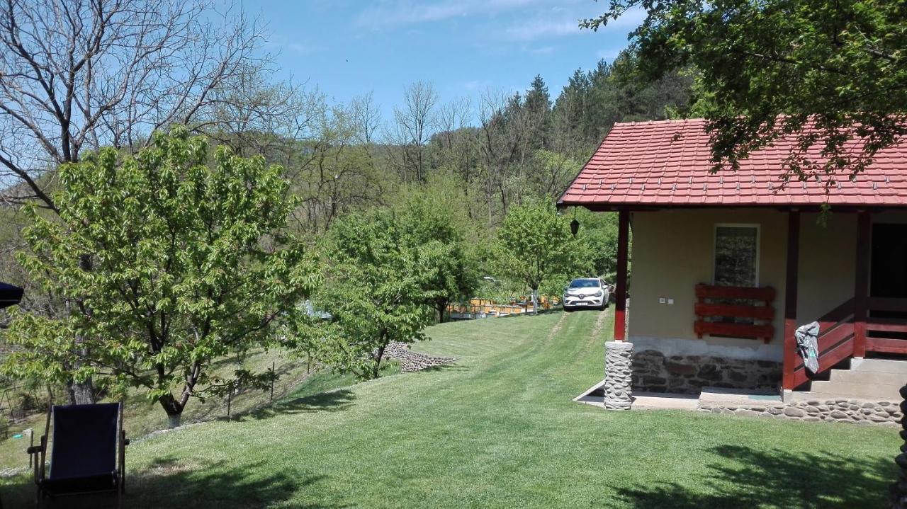 Villa Vikend Kuca Maksimovic Mataruska Banja Exterior foto