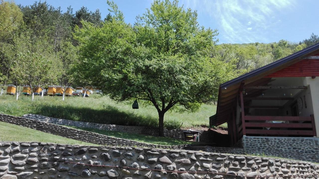 Villa Vikend Kuca Maksimovic Mataruska Banja Exterior foto