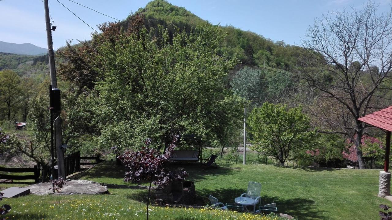 Villa Vikend Kuca Maksimovic Mataruska Banja Exterior foto