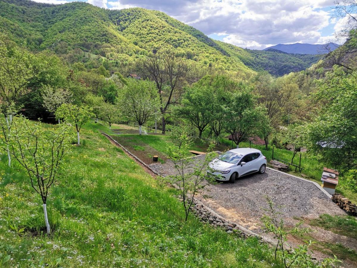 Villa Vikend Kuca Maksimovic Mataruska Banja Exterior foto